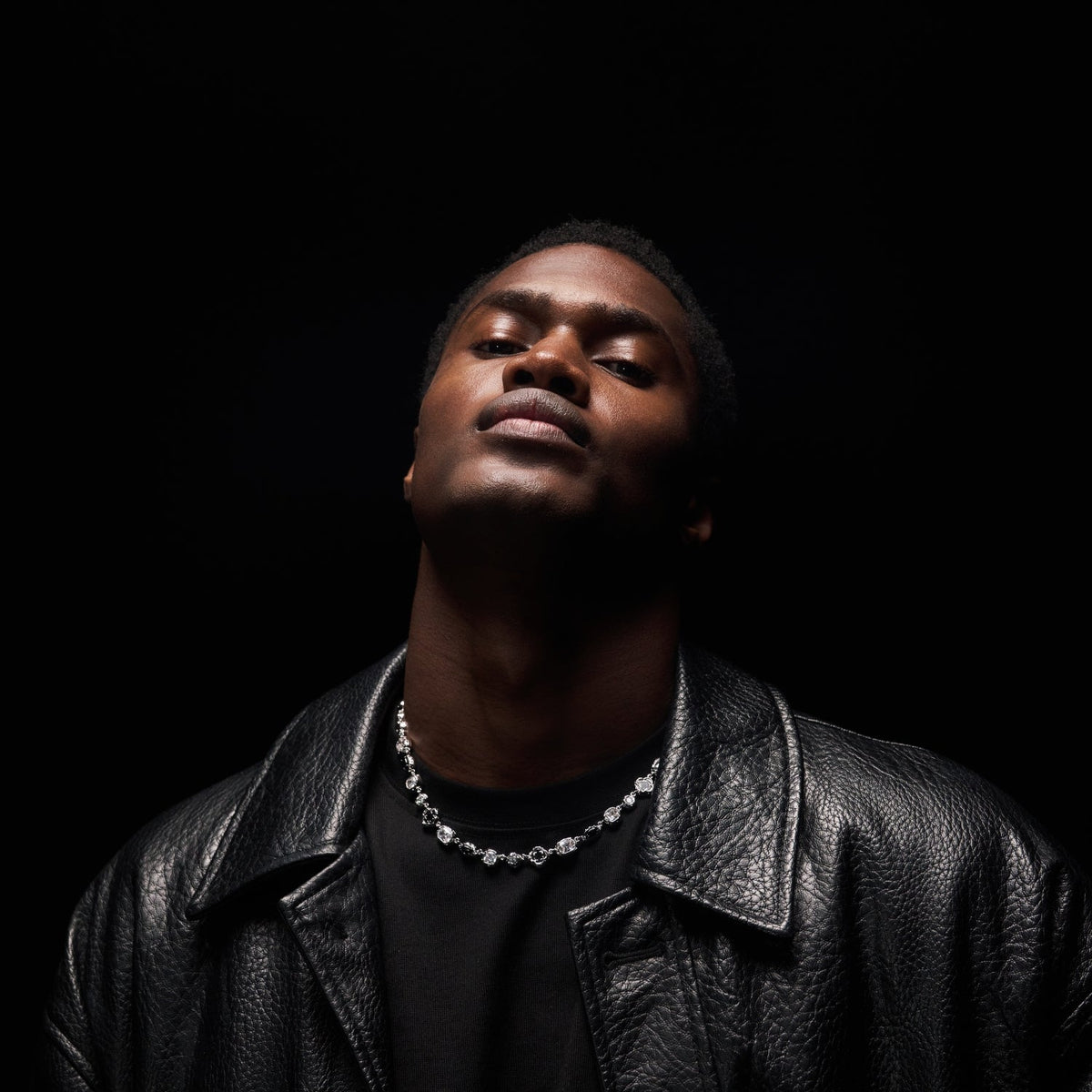 Melted Onyx Gemstone Necklace (Silver)