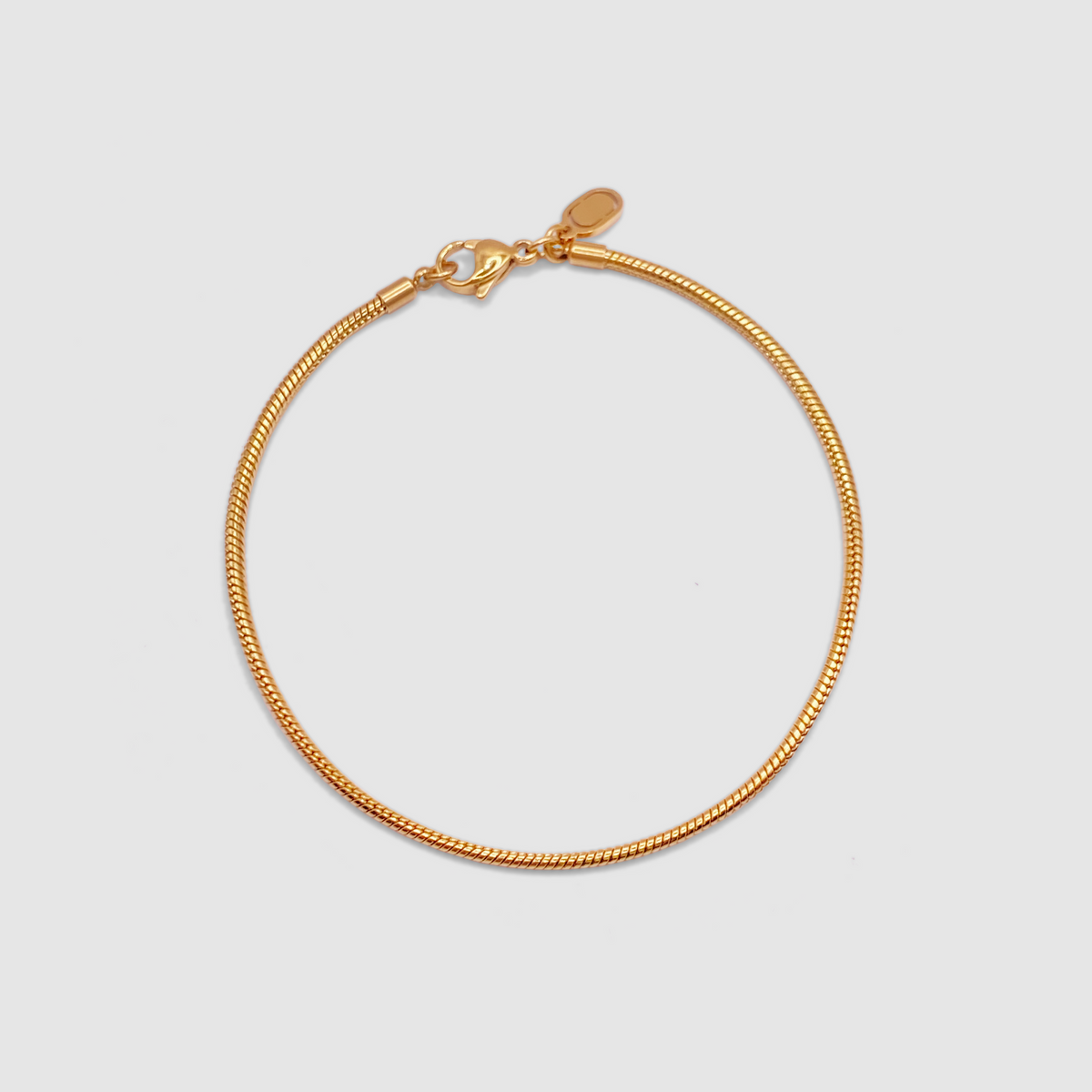 Snake Bracelet (Gold) 2mm
